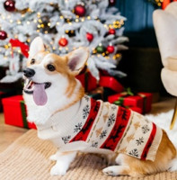 Vánoce a Silvestr s mazlíčky bez starostí. Poradíme jak na to